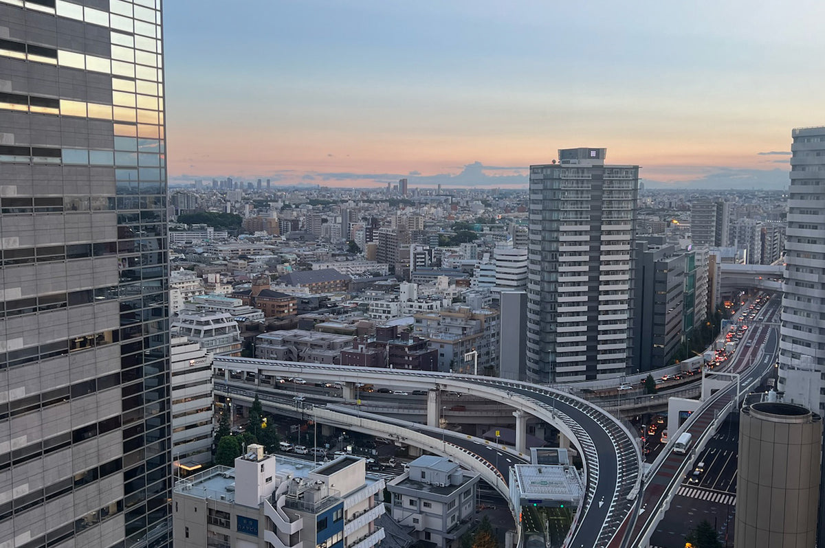 Our escape to: Tokyo