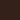 Cacao - Foundation