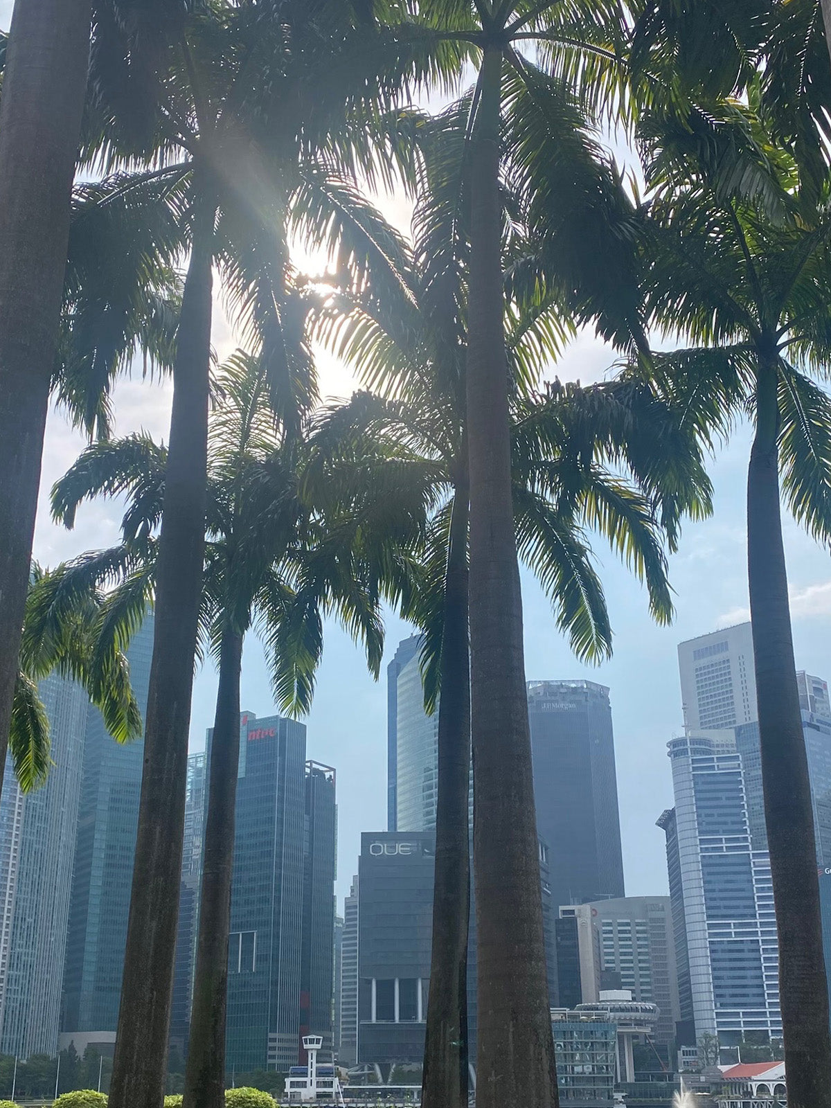Lion city